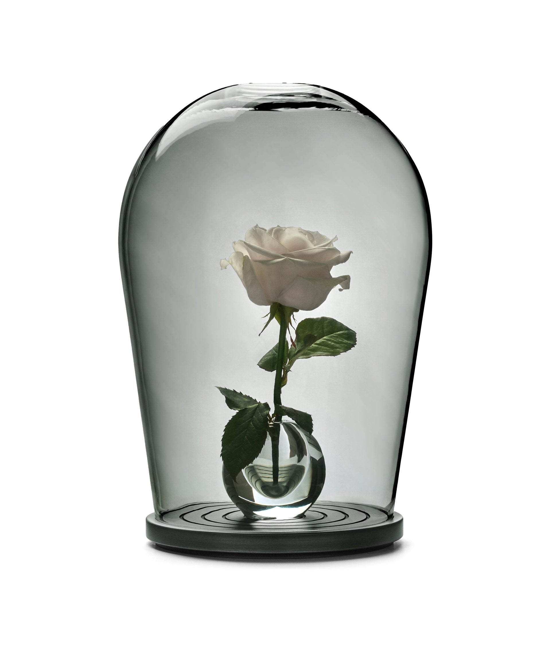 Maximilian Jencquel Bell-jar collectible design object
